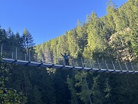 IMG_6274