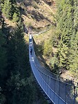 IMG_6275