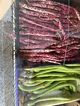 IMG_6341