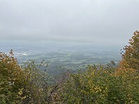 IMG_6448