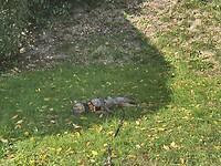 IMG_6521