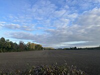 IMG_6567
