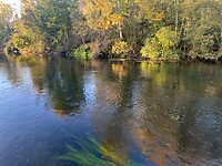 IMG_6570