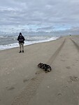 IMG_6684