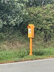IMG_8393
