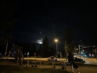 IMG_8520