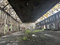IMG_8596