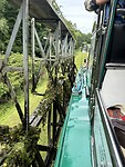 IMG_8631