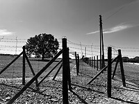 IMG_9442