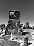IMG_9443