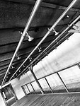 IMG_9449