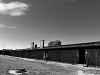 IMG_9452