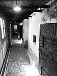 IMG_9455