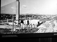 IMG_9457