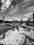 IMG_9474