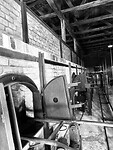IMG_9498