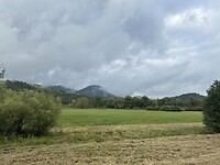 IMG_9704