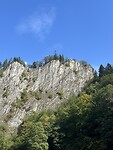 IMG_9729