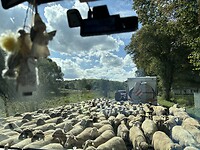 IMG_9743