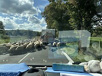 IMG_9740