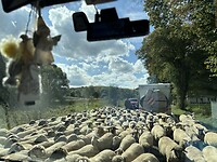 IMG_9742