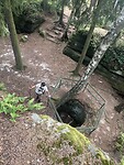 IMG_0001