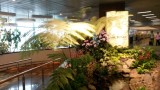 Singapore Airport - chique