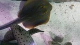 20141101_145504