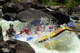 Raften Tully River