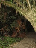 Nachtelijke wandeling