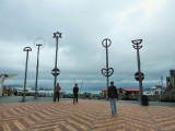 Wellington