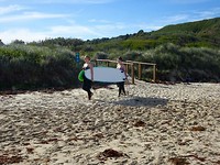 Surfles