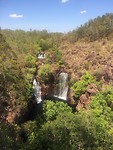 Florence Falls