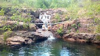 Walker Creek