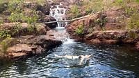 Walker Creek