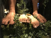 Hobbit voeten @ Weta Cave