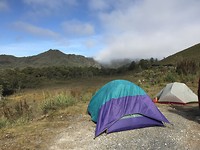 Kampeerplek in Mount Field National Park