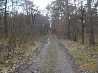 DSCN1168