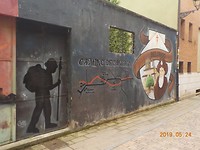 DSCN2951