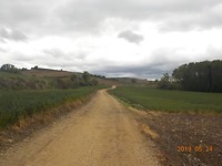 DSCN2953