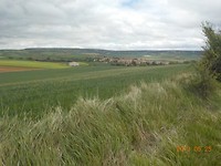 DSCN2986