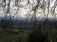 DSC03031