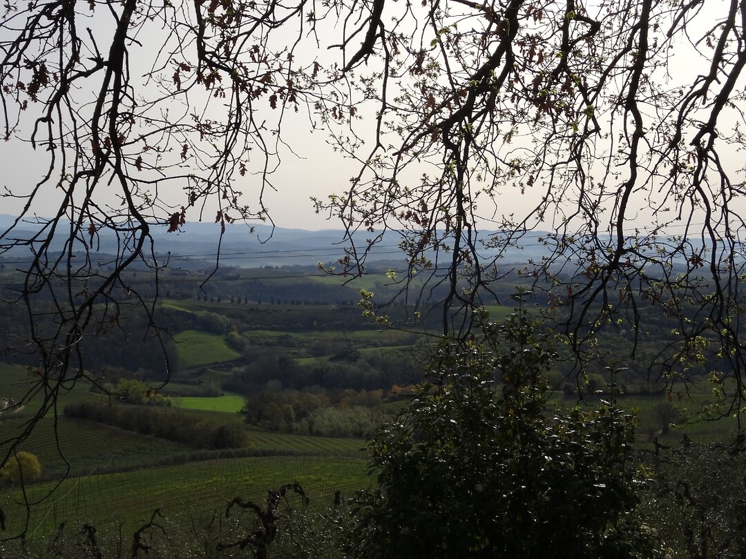DSC03031