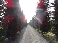DSC03030