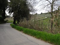 DSC03033