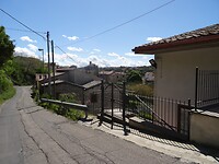 DSC03231