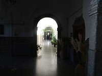 DSC03235