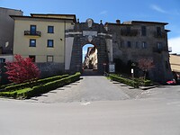 DSC03234