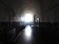 DSC03236