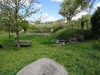 DSC03287